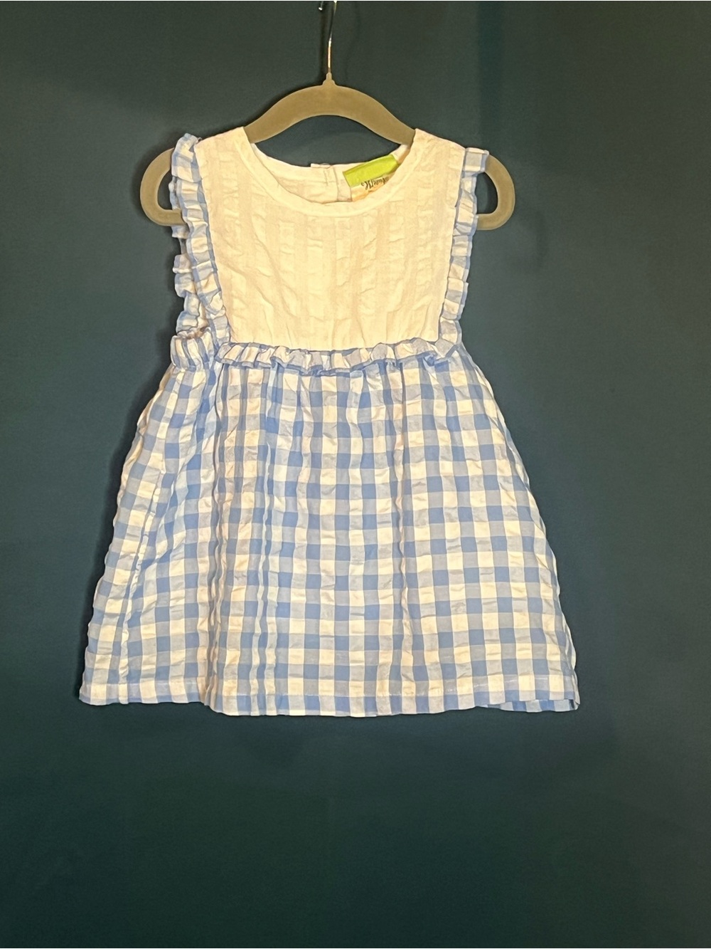 Girls Blue and White Gingham Ruffle top